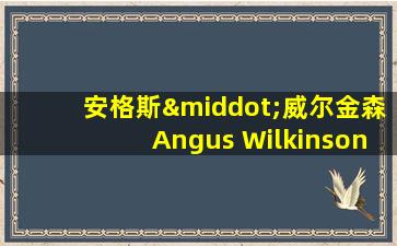 安格斯·威尔金森Angus Wilkinson